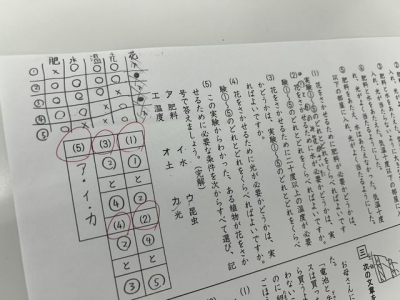 ▲6年生の国語では文章から必要な情報を抜き取るトレーニングに突入！表をかくなど、文章を自然と整理できる能力を養います。